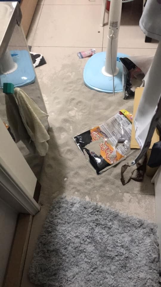 IG @_orange_mi_授權