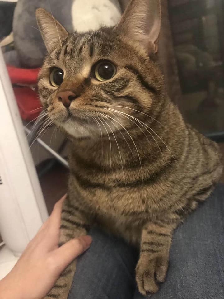 FB 網友薛迪提供