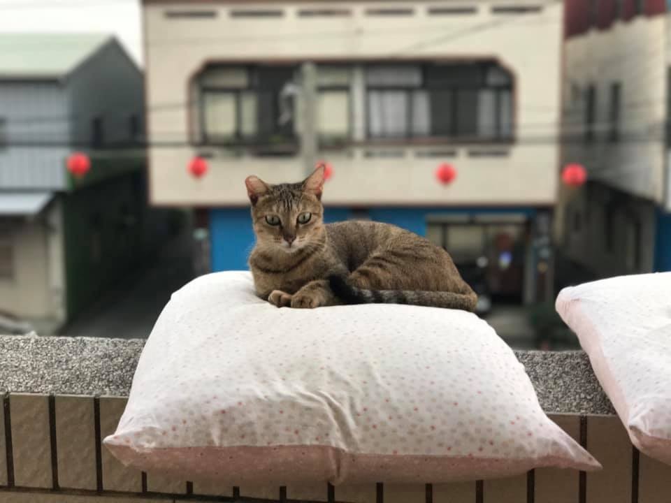 網友劉東榮授權提供