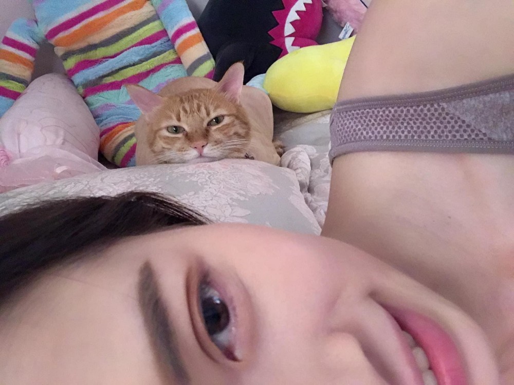 網友陳白兒授權提供