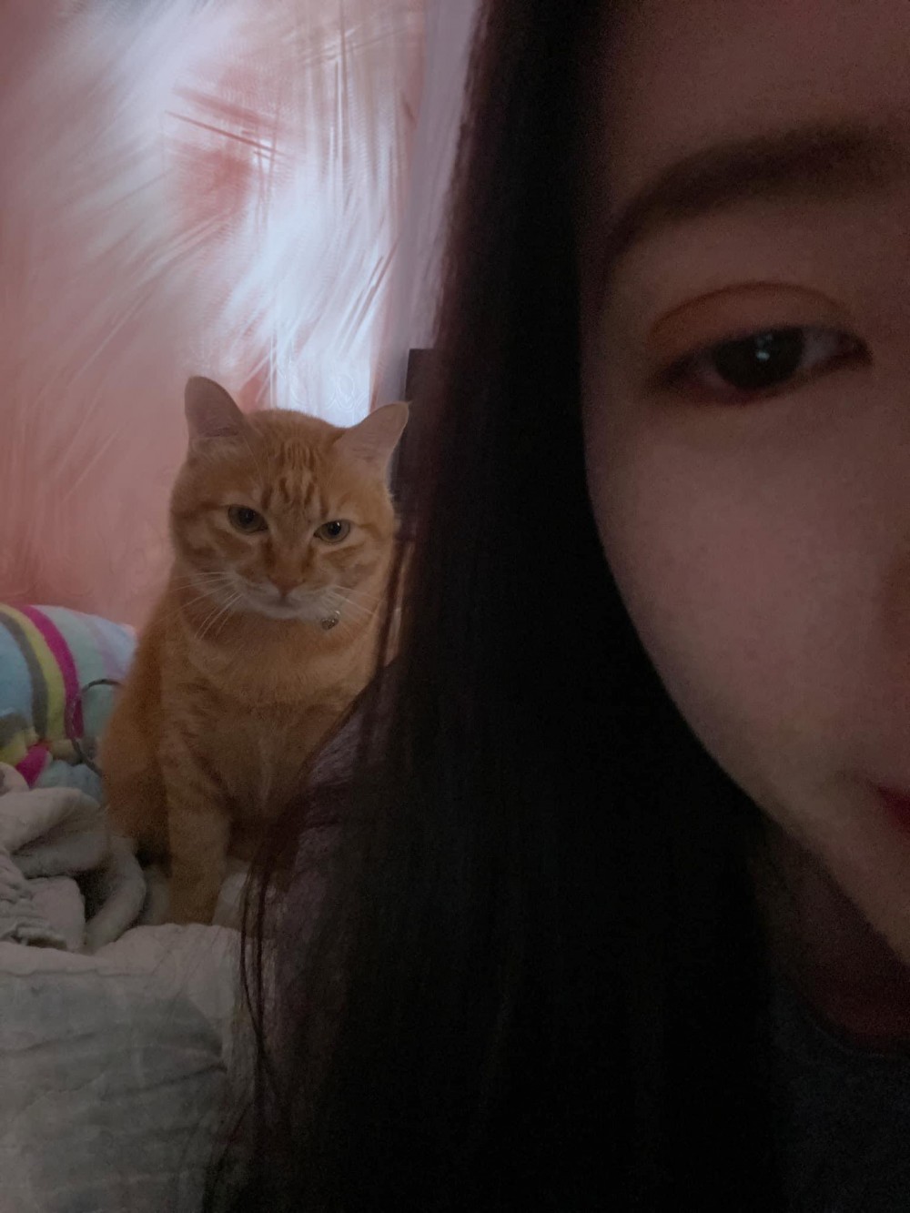 網友陳白兒授權提供