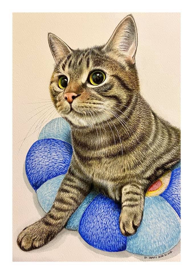 FB 網友薛迪提供