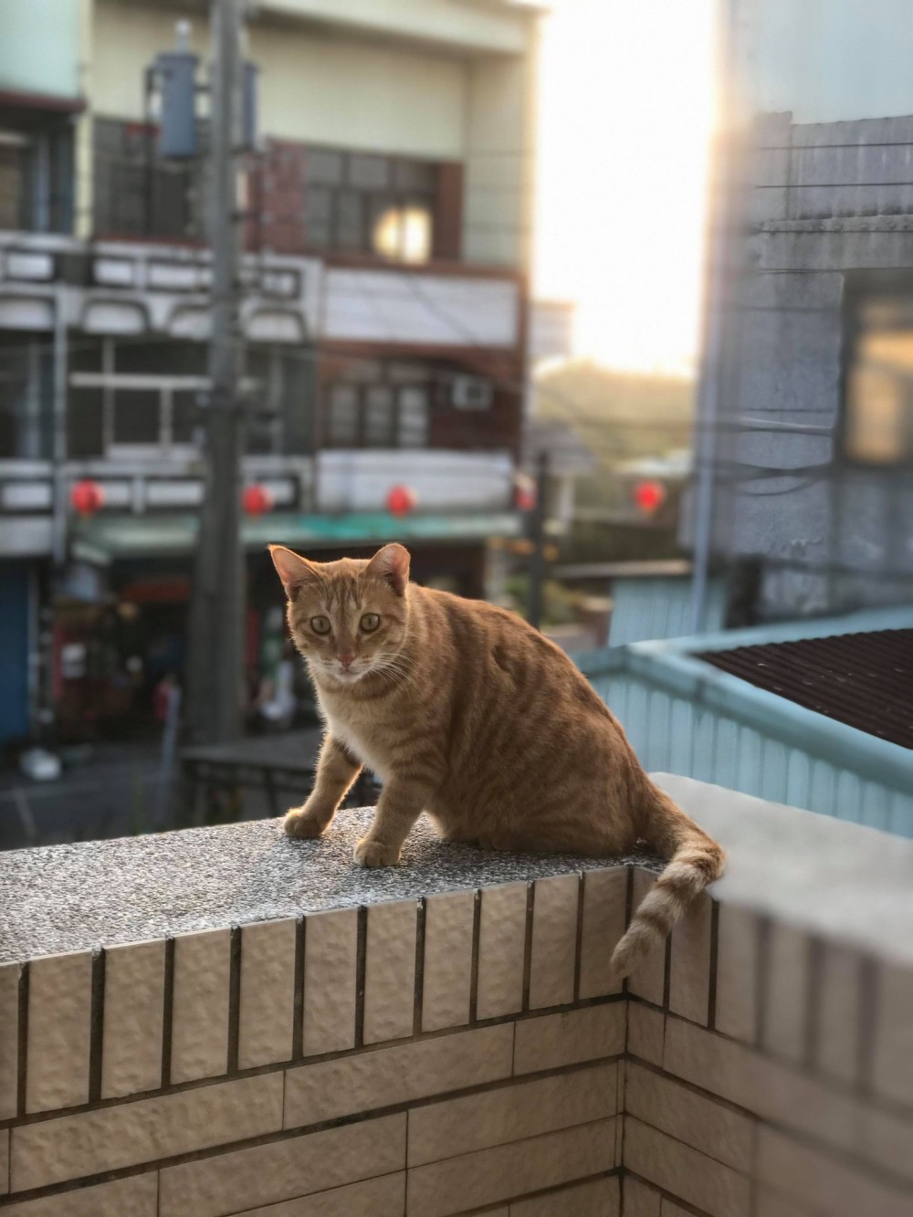 網友劉東榮授權提供