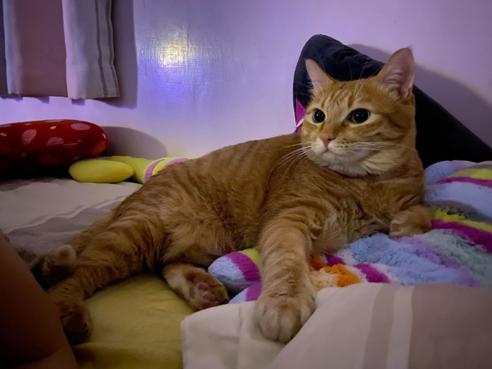 網友陳白兒授權提供