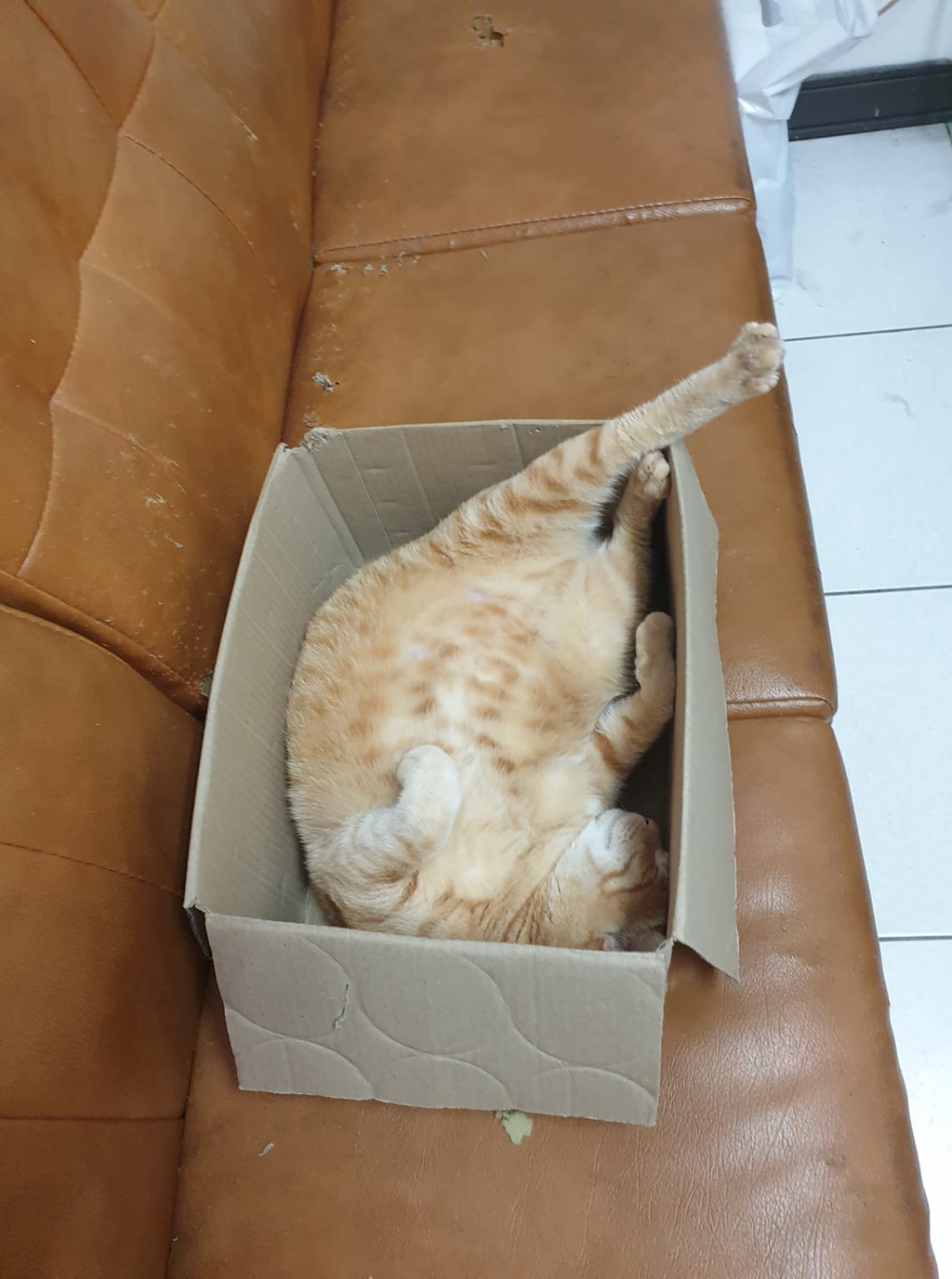 網友胡小姐授權提供