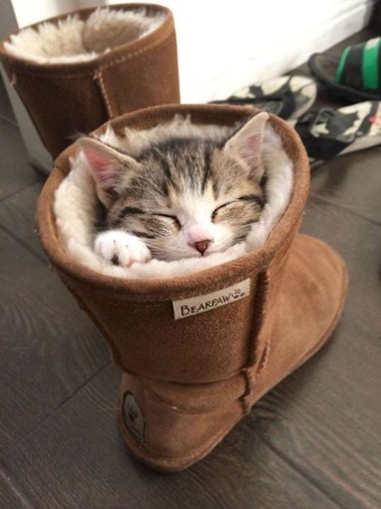 Pinterest