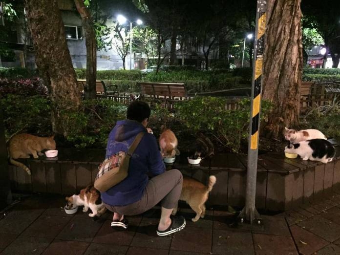 動物友善網