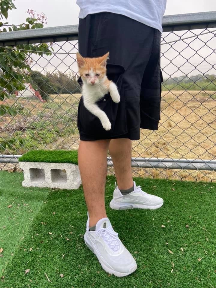 FB 德國狼犬x咨咨屁股翹翹鐵金剛 提供