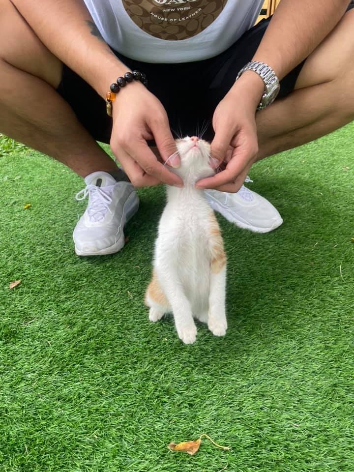 FB 德國狼犬x咨咨屁股翹翹鐵金剛 提供
