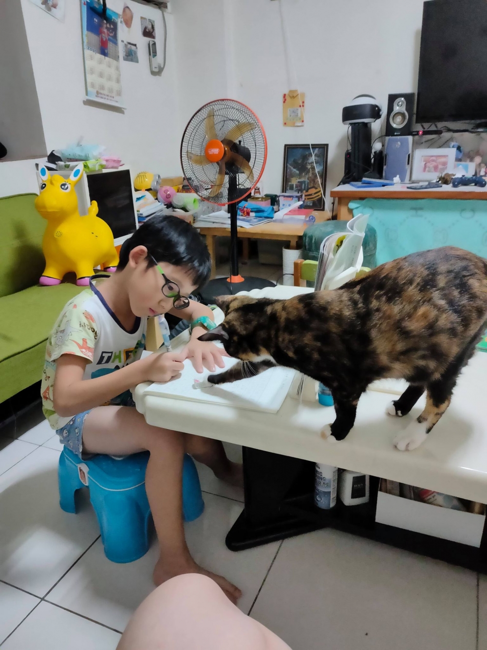 網友寶大提供