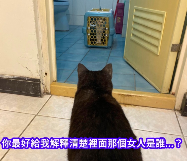 FB 咕嚕咕嚕咕