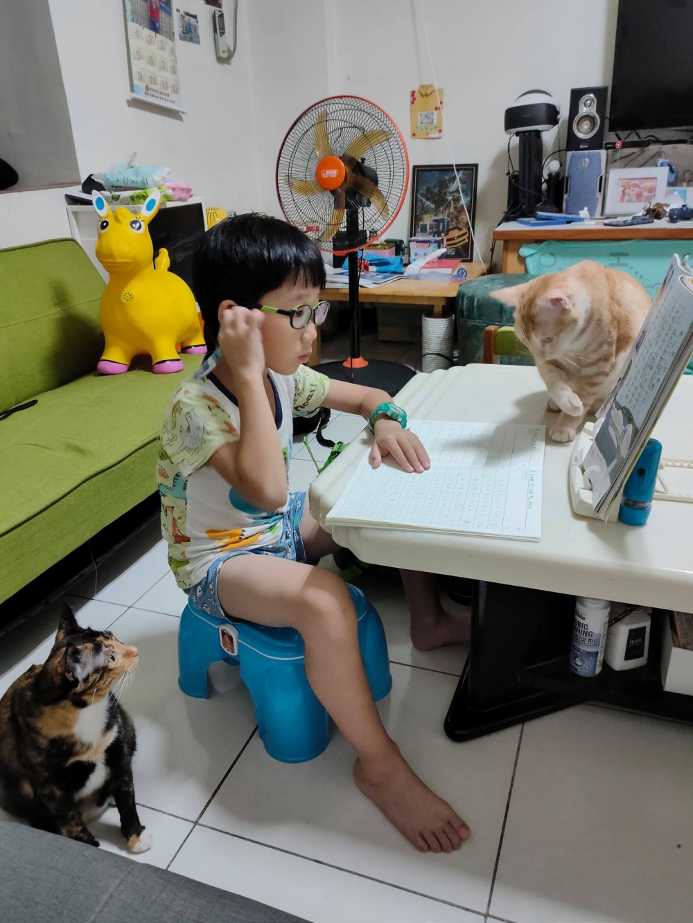 網友寶大提供