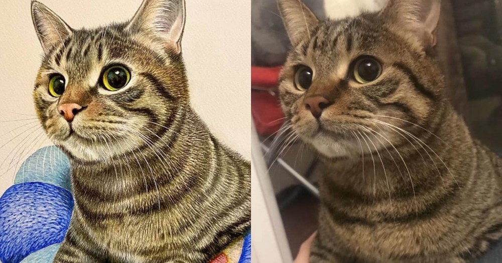 FB 網友薛迪提供