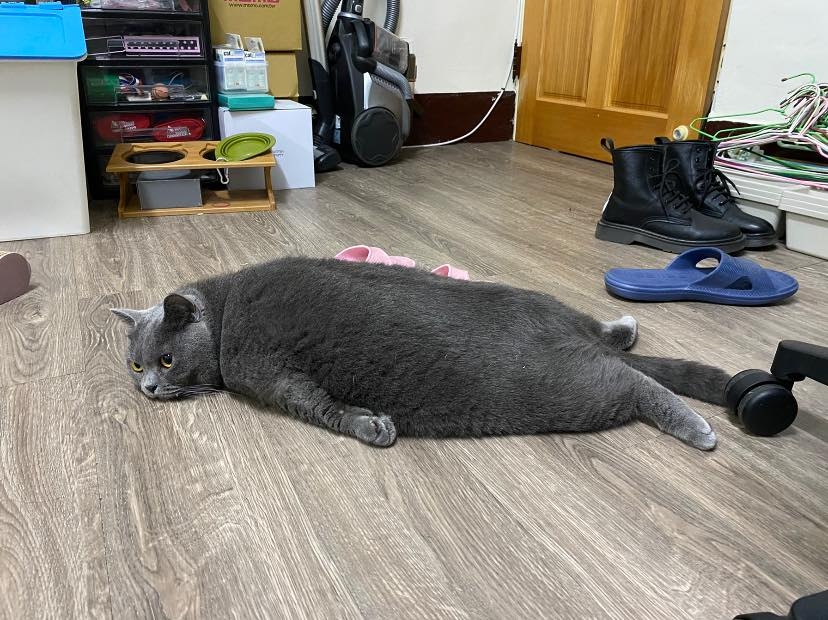 網友李依庭提供
