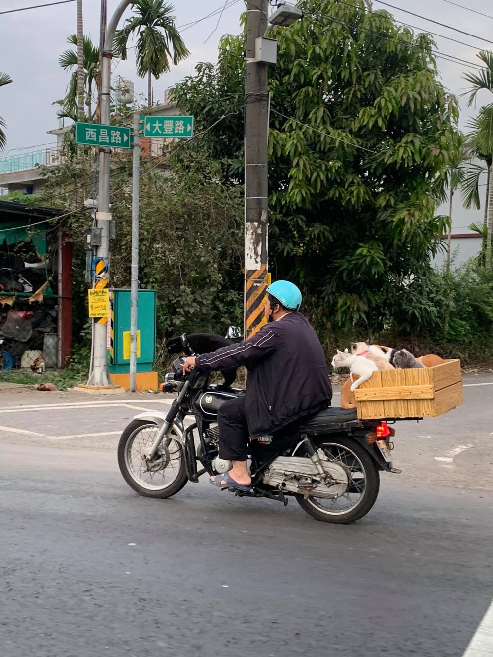 網友許寧寧提供