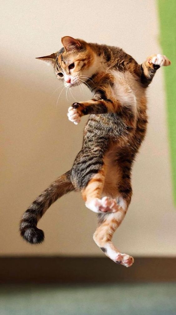 Pinterest