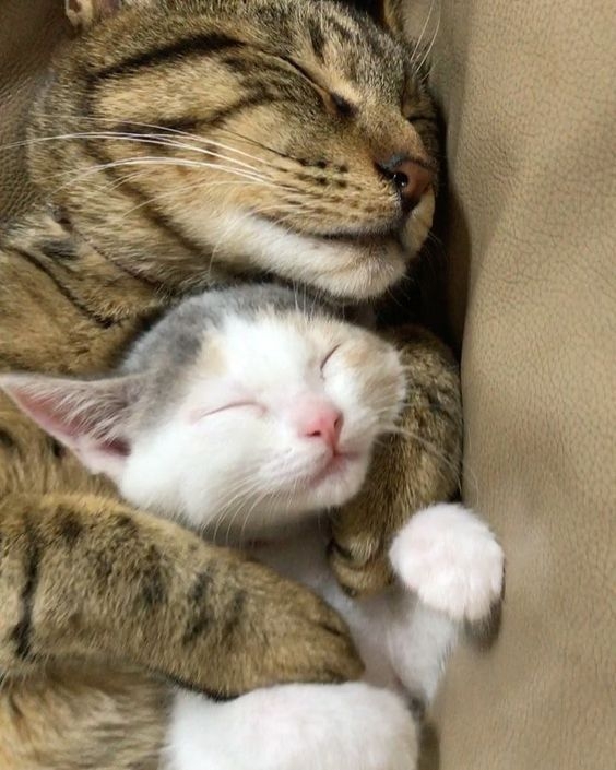 Pinterest
