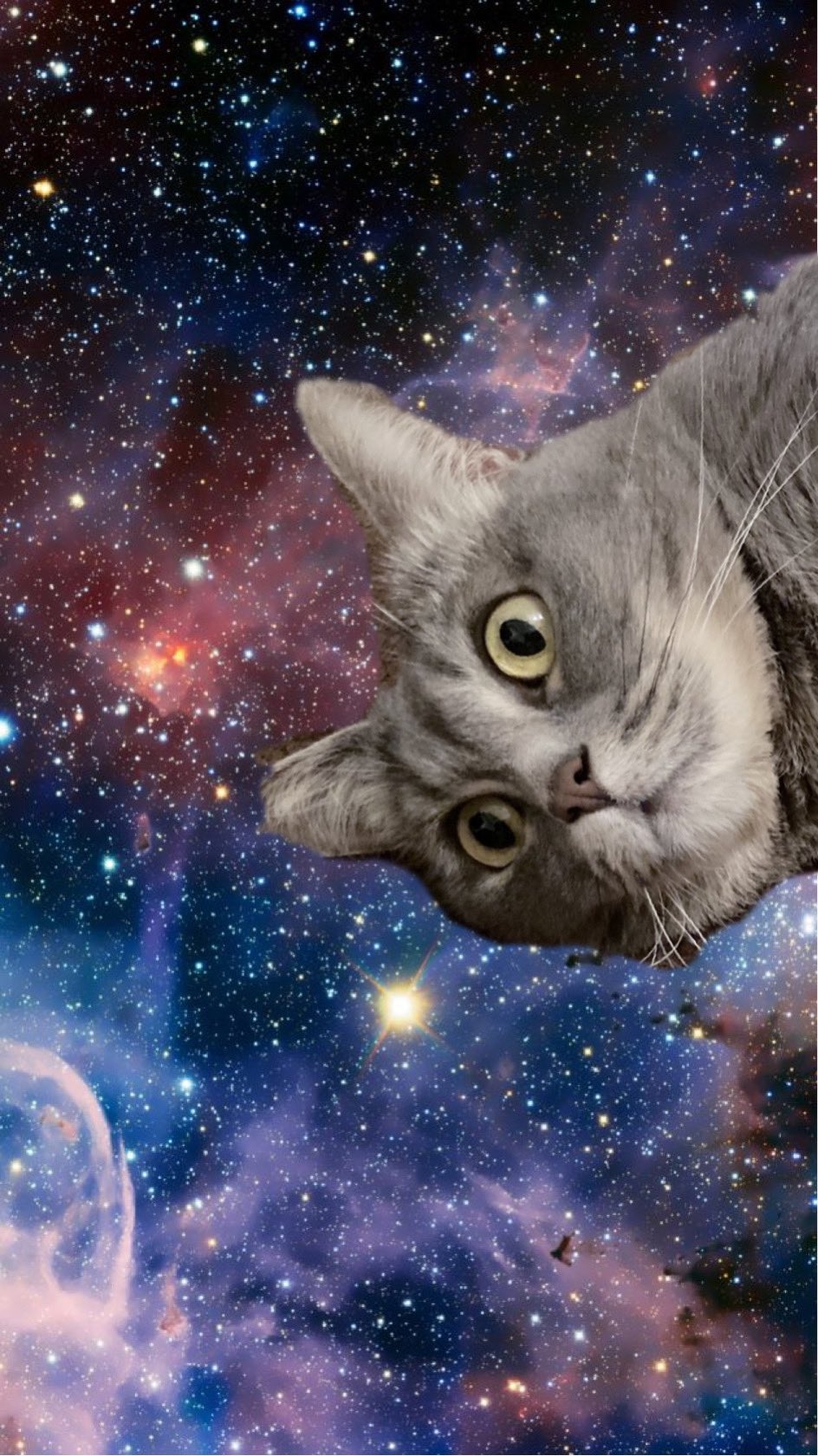 twitter AGURISAGIMORI