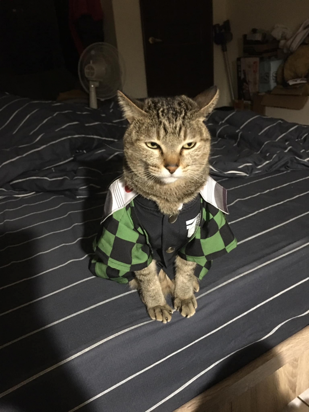 網友Peggy Chen提供