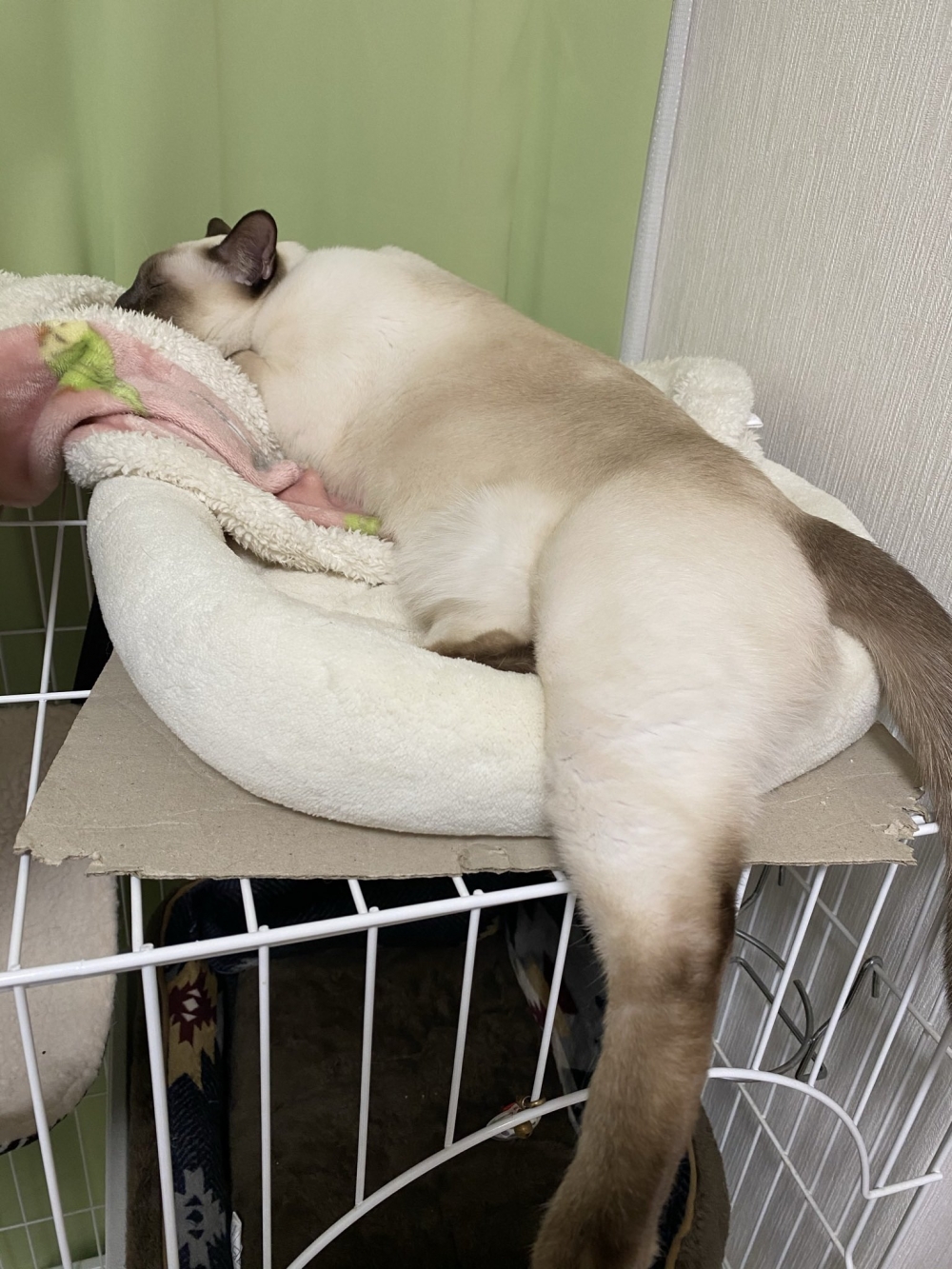 誘人的大長腿，真的太犯規。