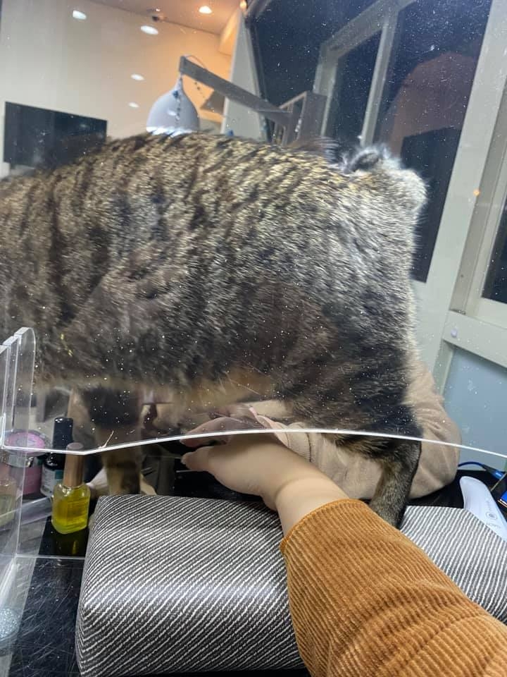 FB 美甲店的喵哥