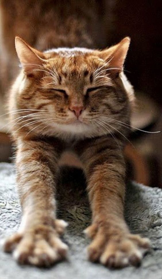 Pinterest