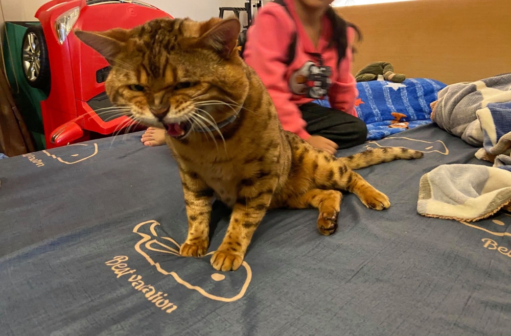 網友陳宥宥小姐提供