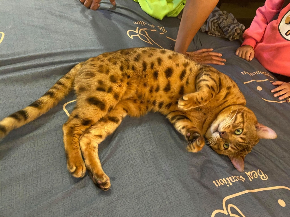 網友陳宥宥小姐提供