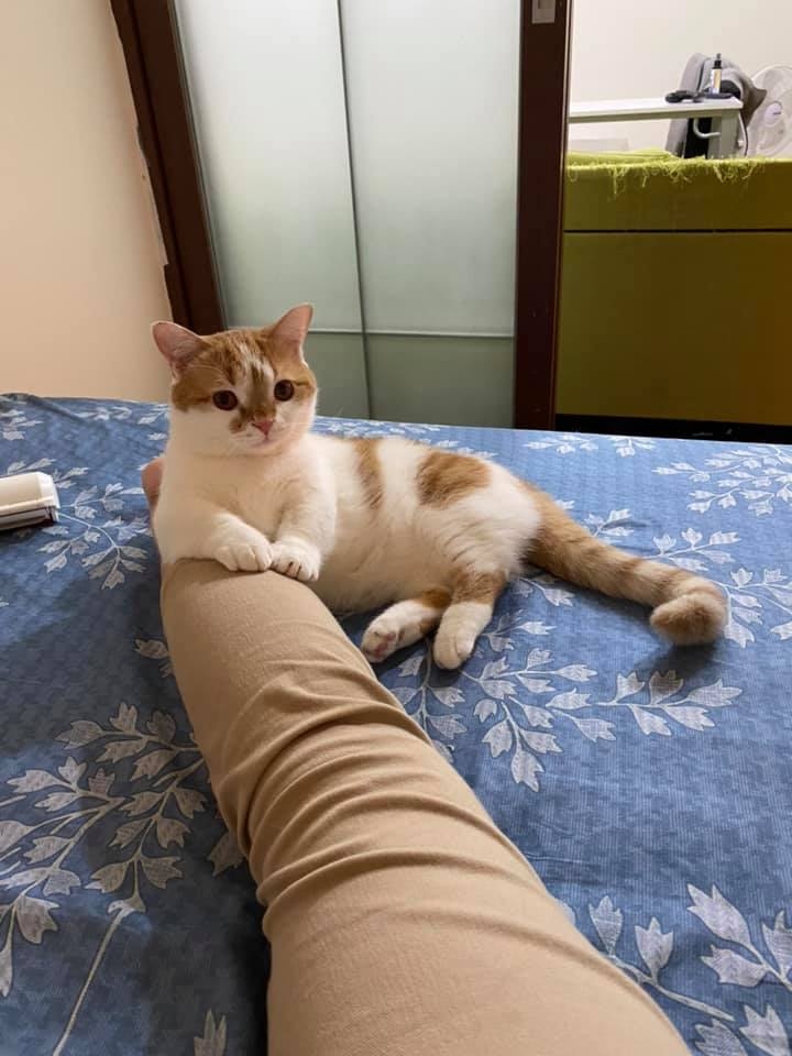 網友Ivy Chen授權提供