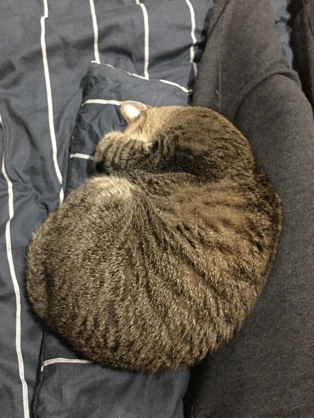 網友Peggy Chen提供