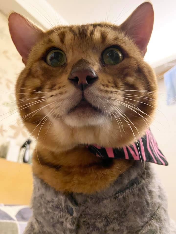 網友陳宥宥小姐提供