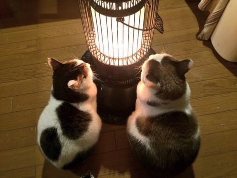 Pinterest