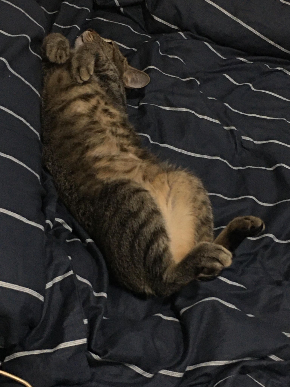 網友Peggy Chen提供