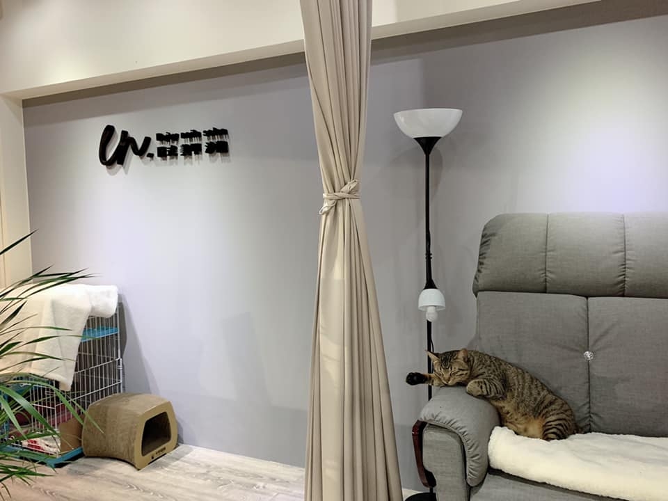 FB 美甲店的喵哥