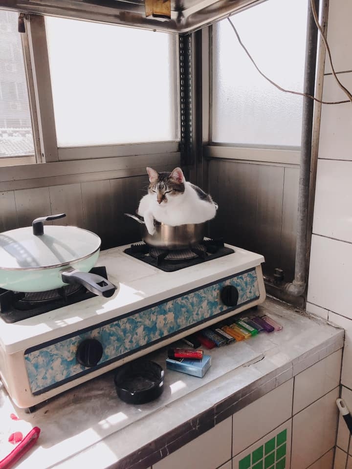 網友Fion Chen提供