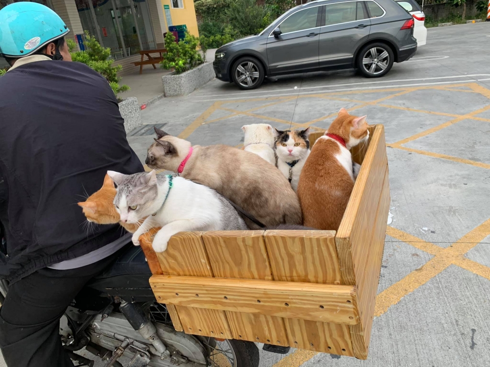 網友許寧寧提供