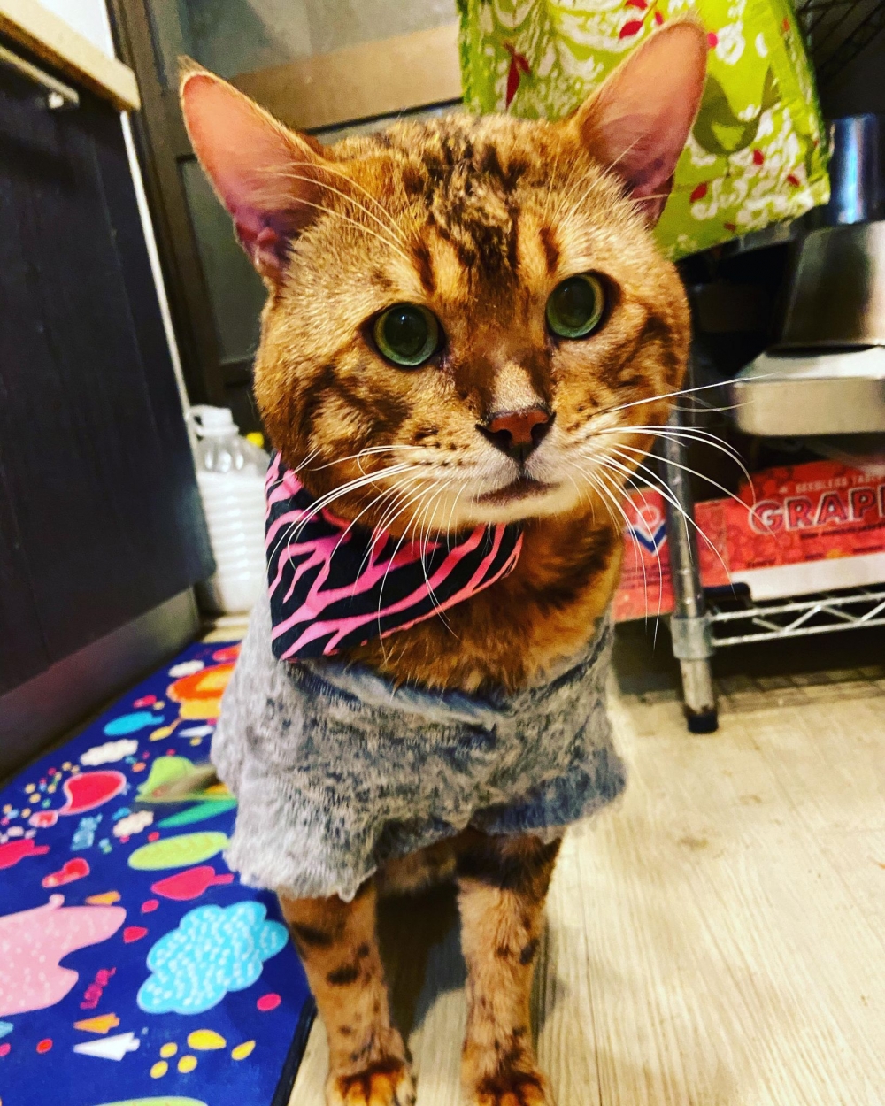 網友陳宥宥小姐提供