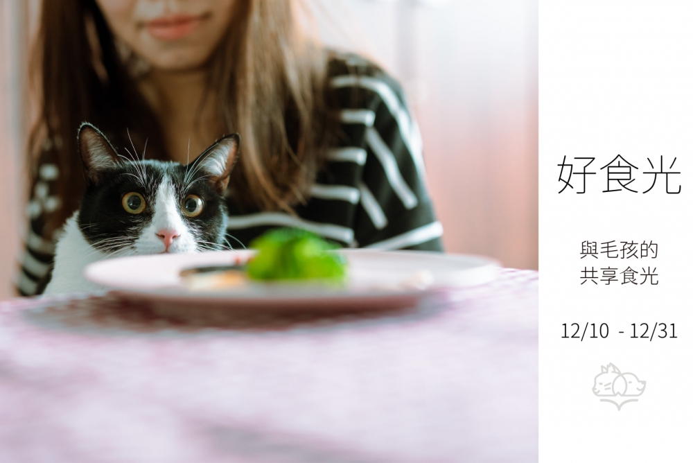 好食光 /與毛孩的共享食光 攝影展