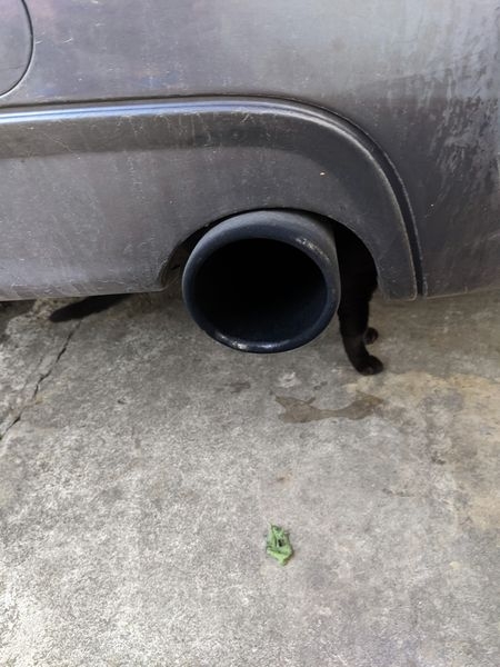 網友翁志強先生提供