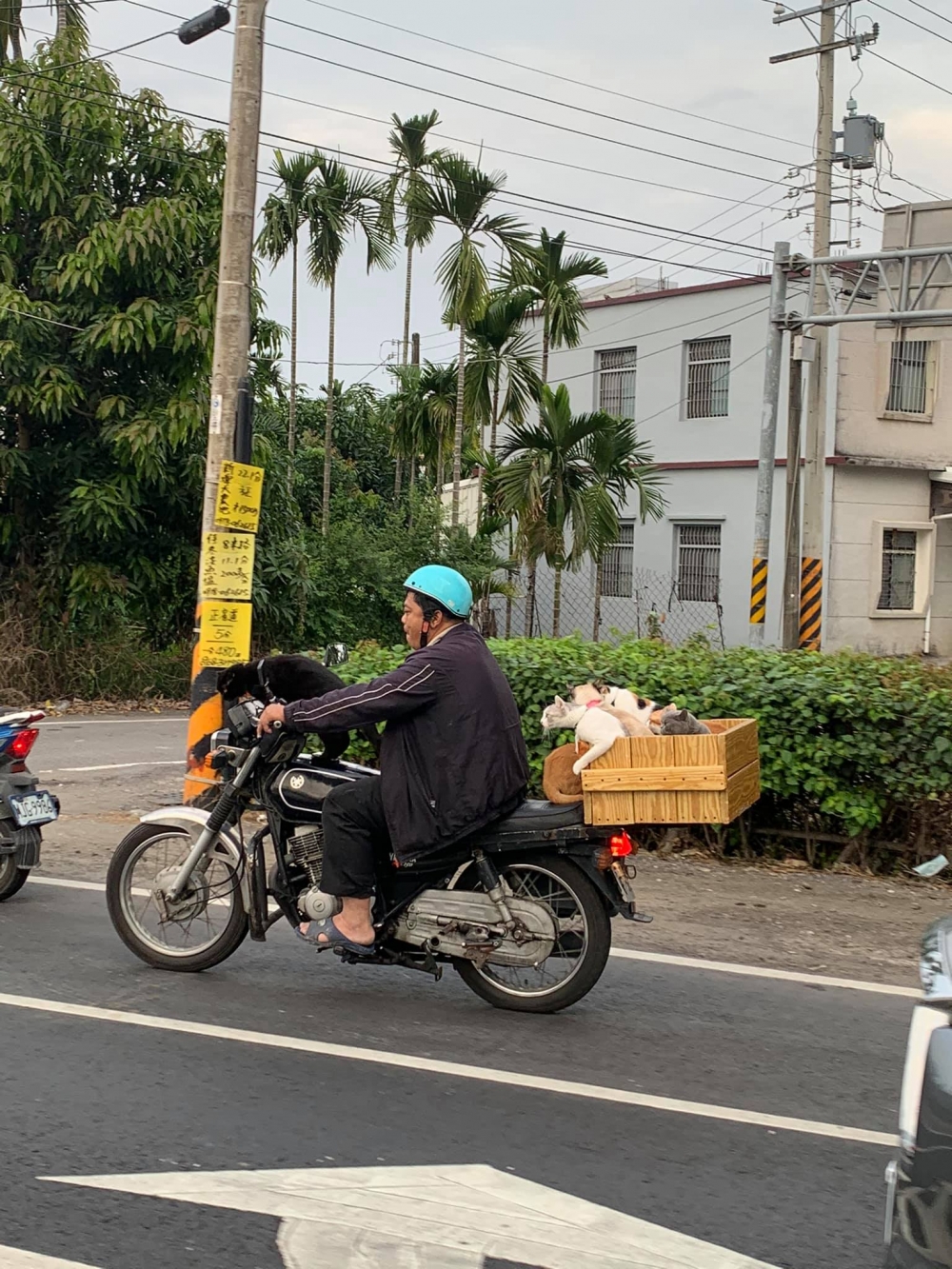 網友許寧寧提供