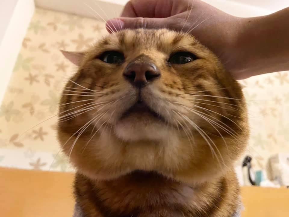 網友陳宥宥小姐提供