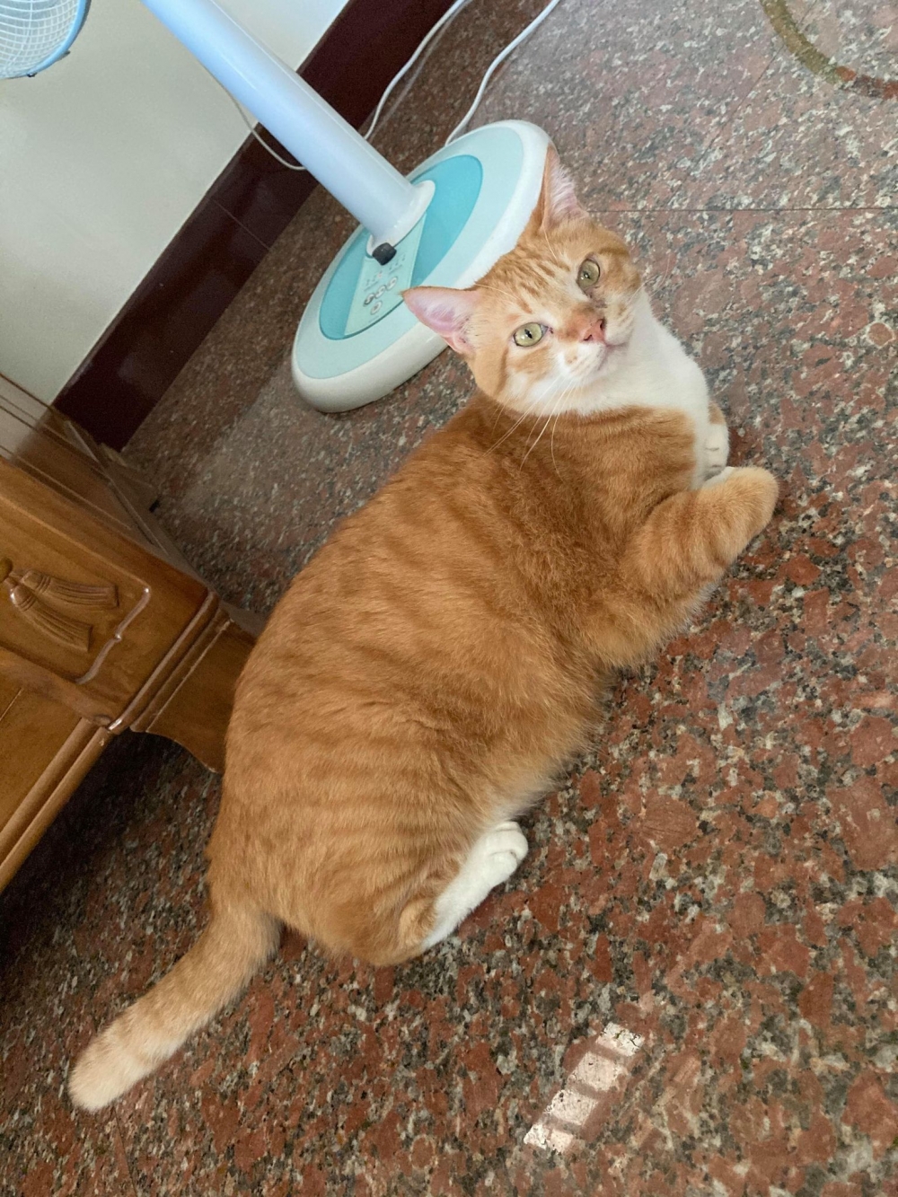 網友許慈芳小姐提供