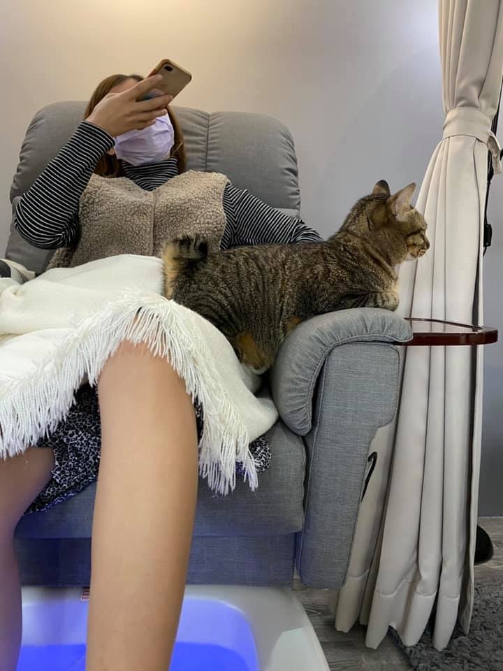 FB 美甲店的喵哥