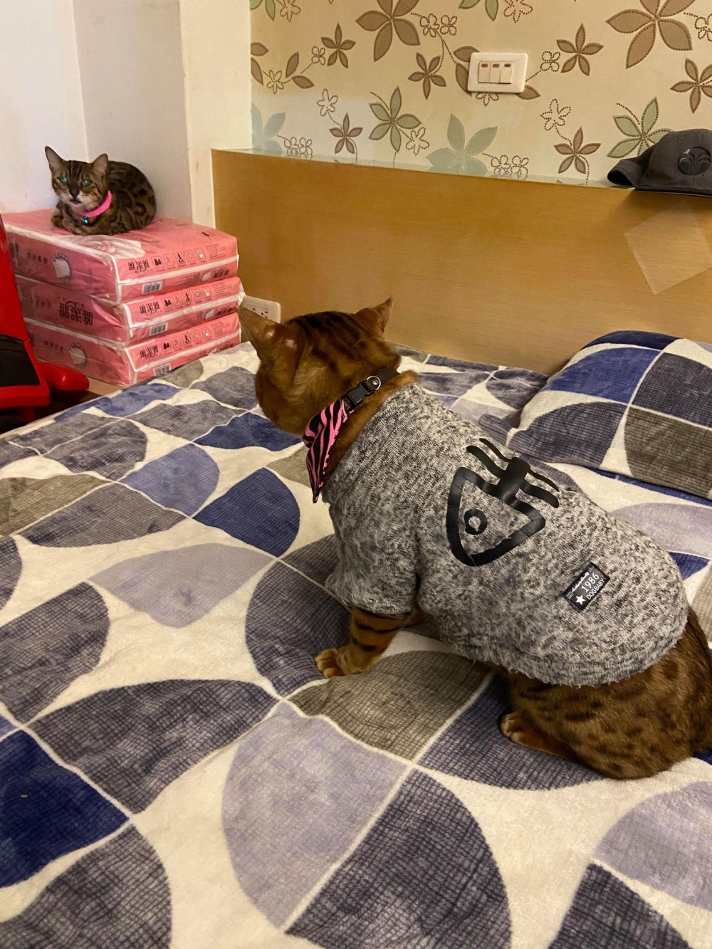 網友陳宥宥小姐提供