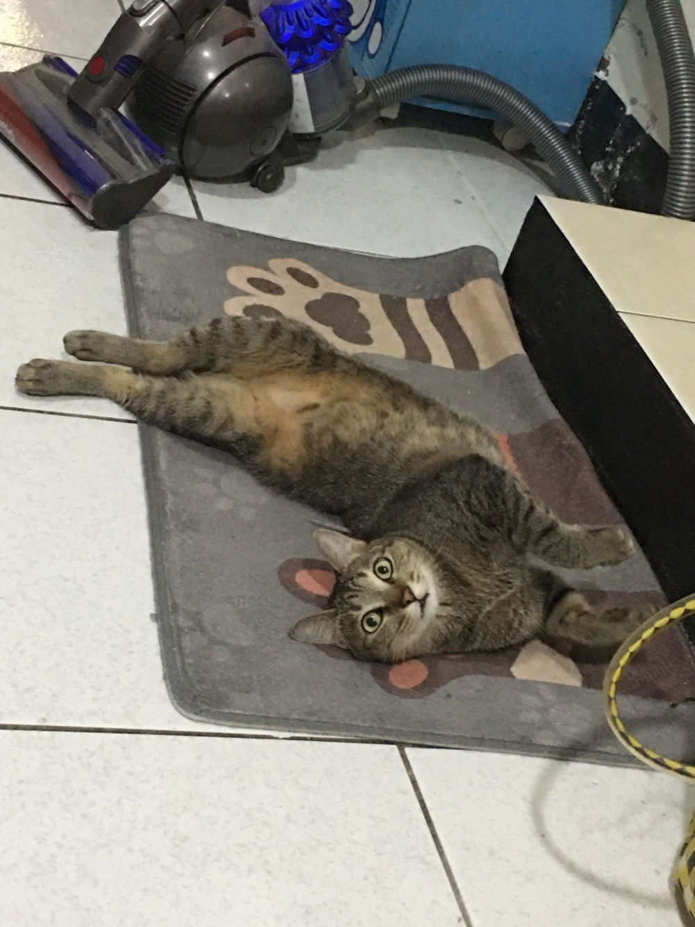 網友Peggy Chen提供