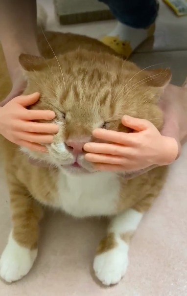 網友許慈芳小姐提供