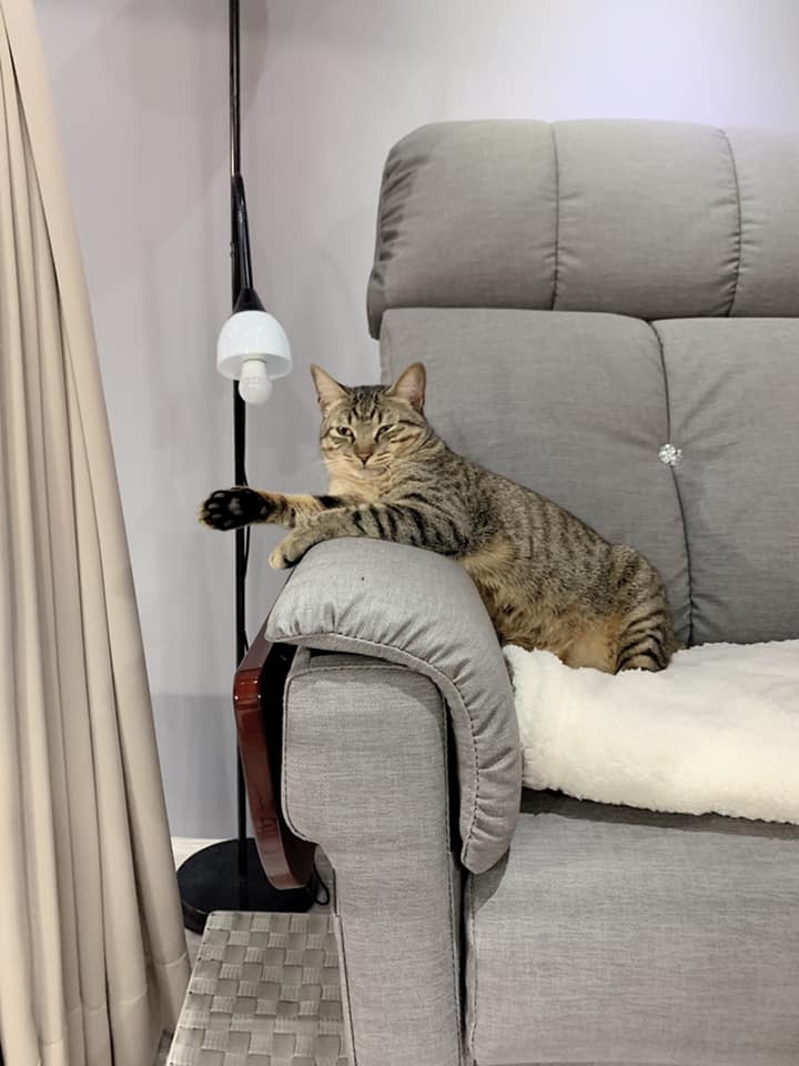 FB 美甲店的喵哥