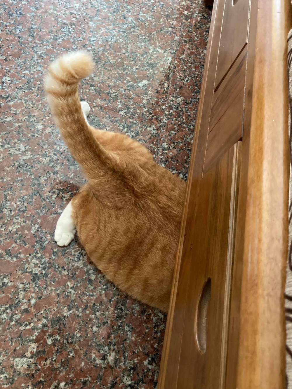 網友許慈芳小姐提供