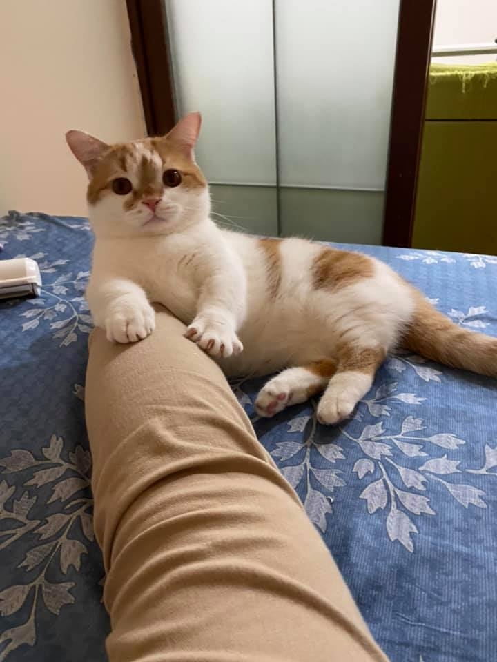 網友vy Chen授權提供