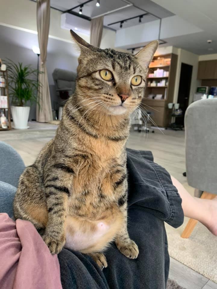 FB 美甲店的喵哥